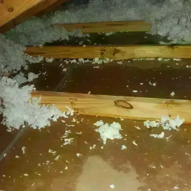 Attic Water Damage in Davidson, NC