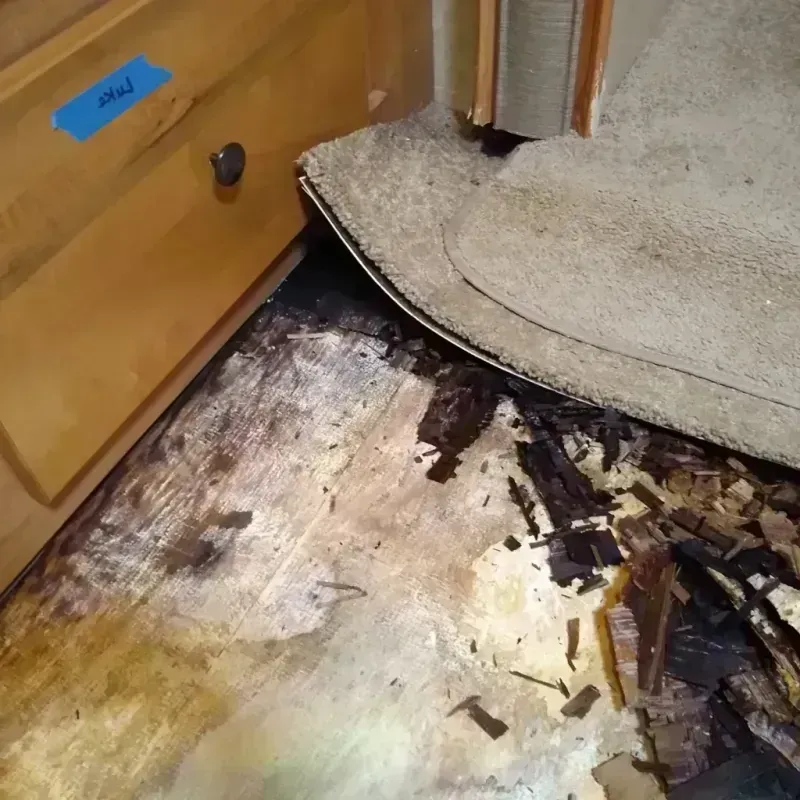 Best Wood Floor Water Damage Service in Davidson, NC